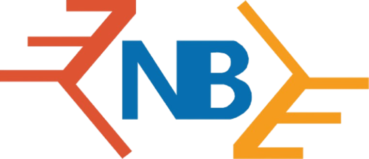 Nirmal Balbir Consultancy Logo